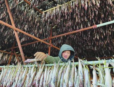 珲春市“无中生有”的产业奇迹 水产品加工业的崛起与销售新篇