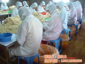 虾皮姐姐货源探秘 越秀区富华海产品加工厂批发销售全攻略