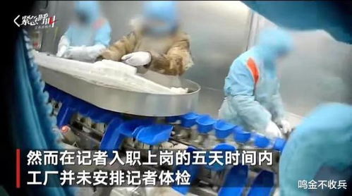 暗访大连海产品加工厂 315记者冒险揭露产业链乱象