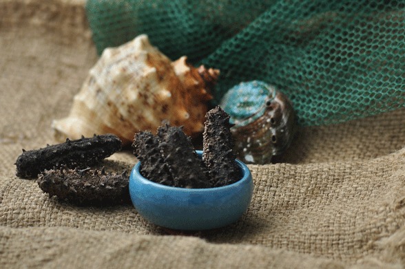 国内三大海参产地探秘 品质、特色与市场销售全景