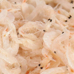 虾皮价格解析与富华海产品加工厂的从化优势