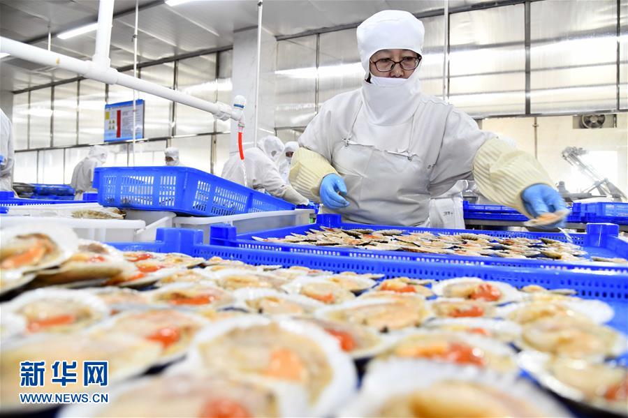 积极发展海洋食品加工产业，构建全产业链协同发展新格局