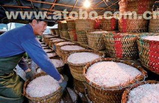 云浮虾皮 富华海产品加工厂，您的特级虾皮与海产加工优质之选