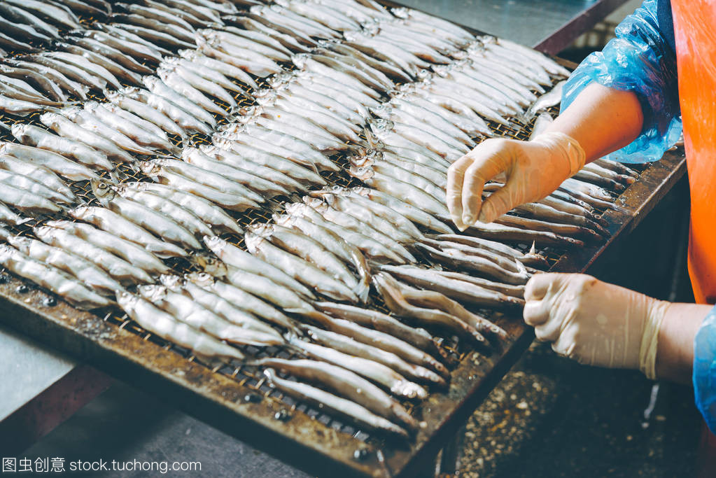 海产品加工 技术与市场的融合