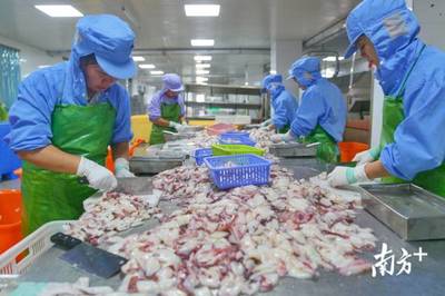 南澳岛羊屿村 帮扶助力海产品加工发展，贫困户全部实现脱贫增收