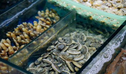 三亚旅游必打卡 第一市场海鲜琳琅满目，周边加工川味一条街体验独特海产品加工